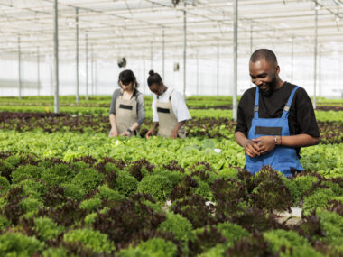 Farm Work in Canada with Visa Sponsorship