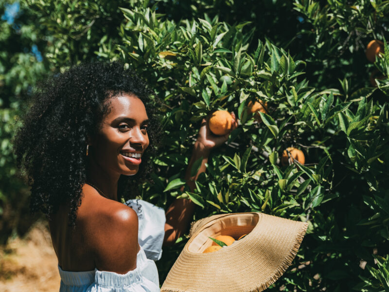 Fruit Picking Jobs in Australia With Visa Sponsorship